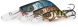 gallery_9819_9400