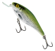 Wobler Salmo Executor - Olive Bleak