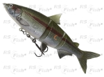 Ripper DAM Effzett Natural Whitefish - barva Rainbow Trout