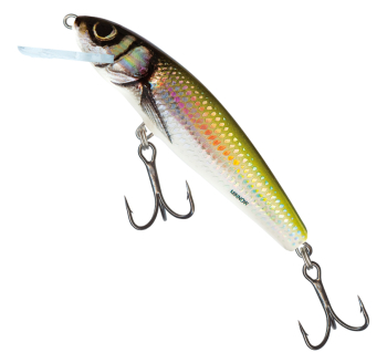 Wobler Salmo Minnow - barva Holo Bleak