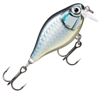 Wobler Rapala X-Light Crank Shallow Runner - barva BAP