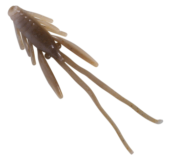 Nymfa Berkley PowerBait - barva Toad