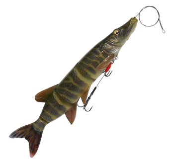 Ripper Savage Gear 4D Line Thru Pike - Striped Pike 61788