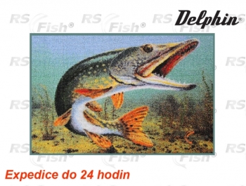 Rohožka - Štika 3D