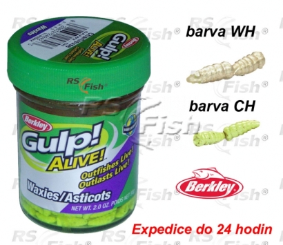 Červ Berkley Gulp! Alive Waxies