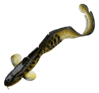 Mník Savage Gear 3D Burbot - barva Burbot