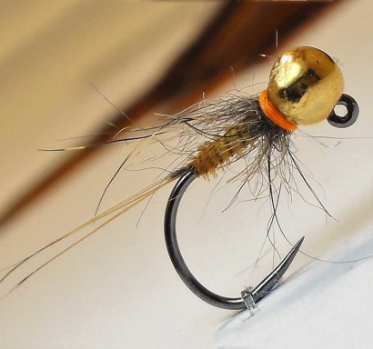 Jig RS Fish TGJ46