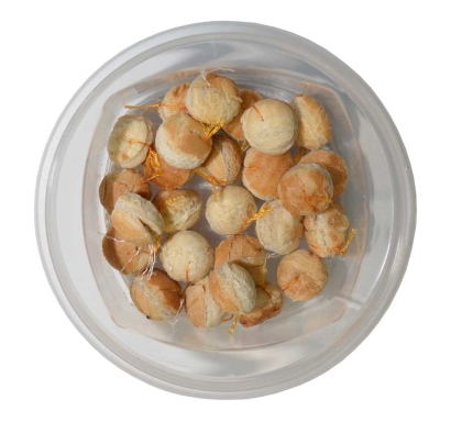 Boilies rohlíkový - Nemocný osel